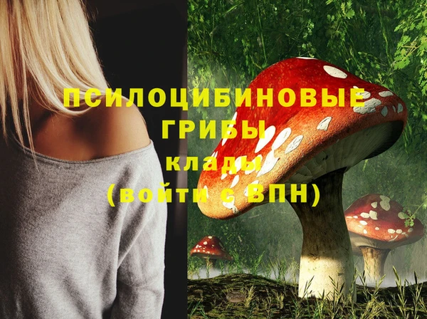 соль курить ск Вязьма