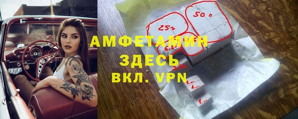 прущие грибы Волосово