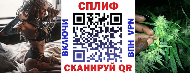Конопля SATIVA & INDICA Зубцов